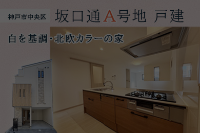 【成約御礼】中央区坂口通・A号地|新築戸建